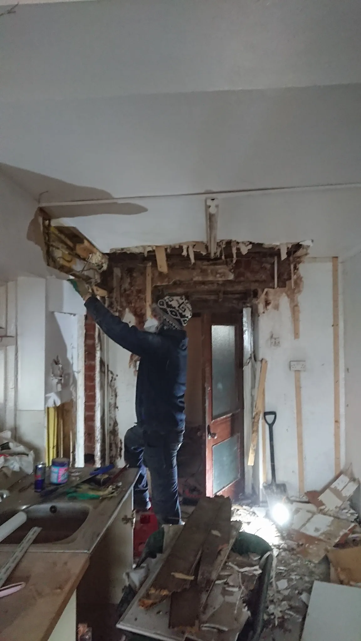 Dry rot londonderry