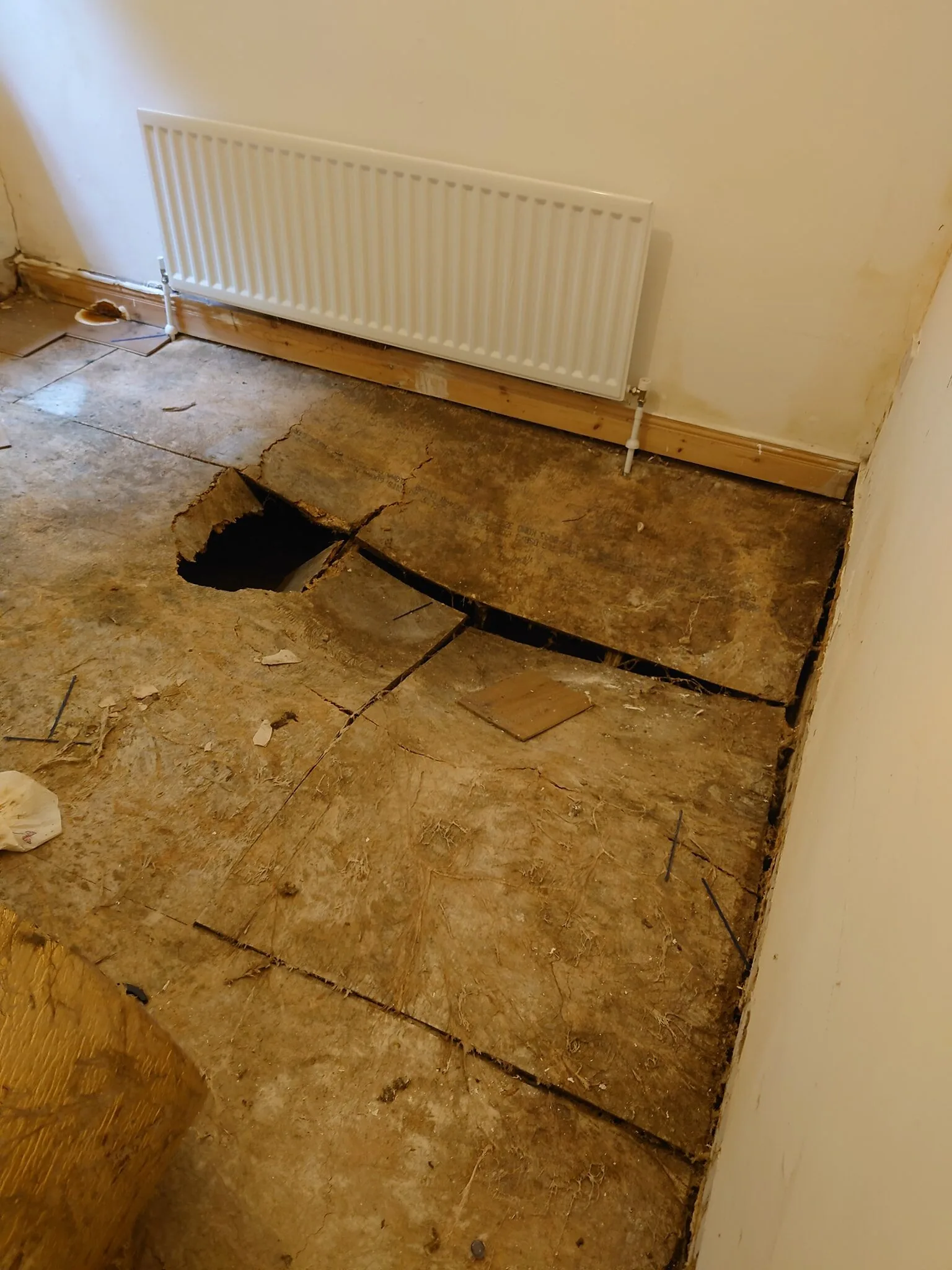 Wood worm treatment